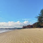 Orewa Beach 2