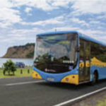 Orewa buses