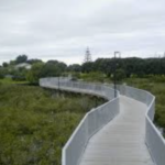 Orewa cycleway 2